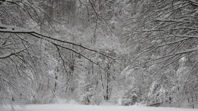 Walking in a winter wonderland ©englishmaninslovakia.com